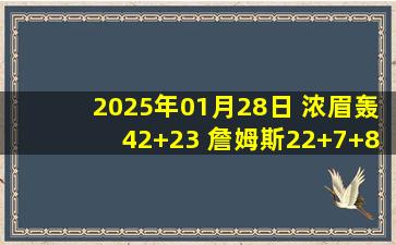 2025年01月28日 浓眉轰42+23 詹姆斯22+7+8 鲍尔伤退 湖人力克黄蜂迎4连胜